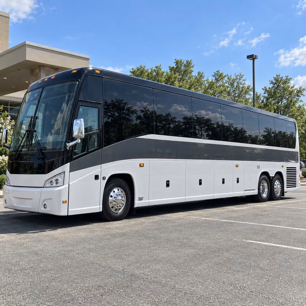 field trip transportation to pittsburgh zoo phipps conservatory and beyond